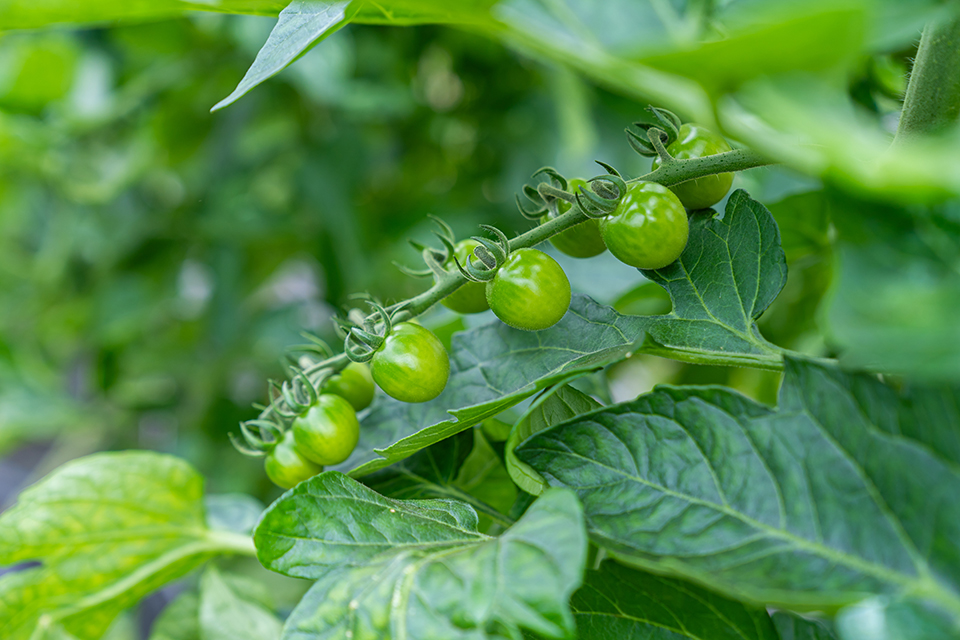 Photo Stoll Production 2