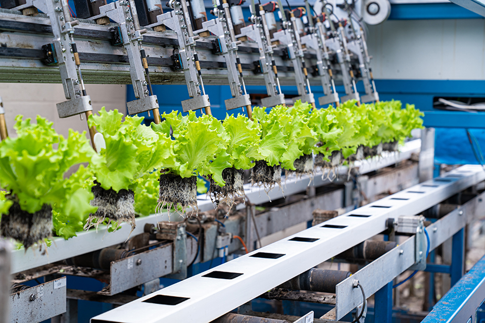 Photo Stoll Production 3