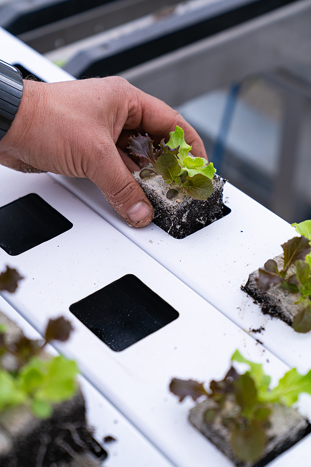 Photo Stoll Production 4