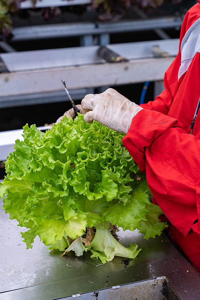 Photo Stoll Production 5