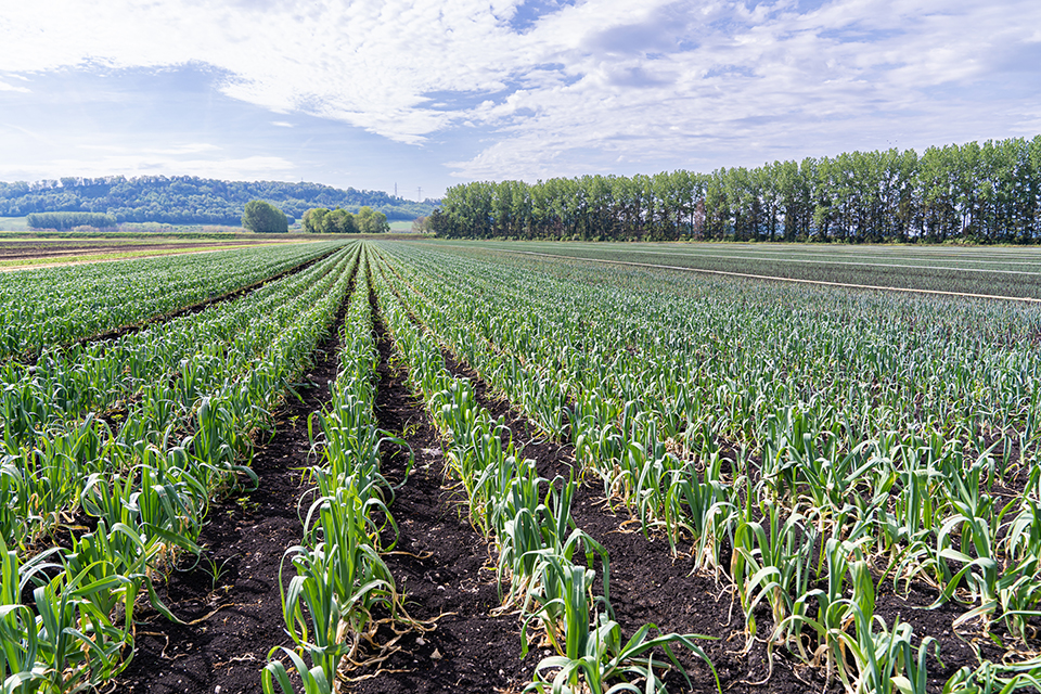 Photo Stoll Production 6