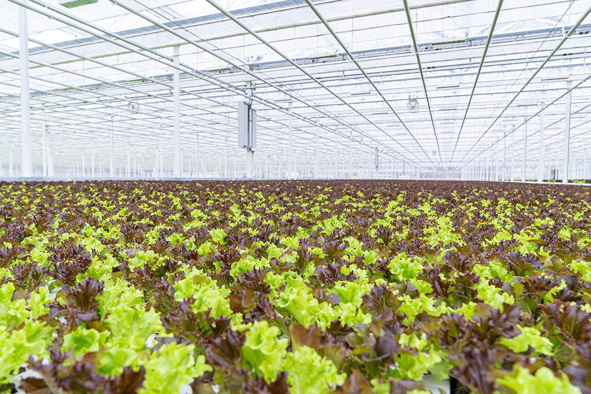 Photo Stoll innovation solutions 1