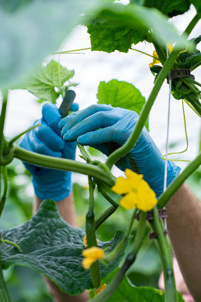 Photo Stoll innovation solutions 2