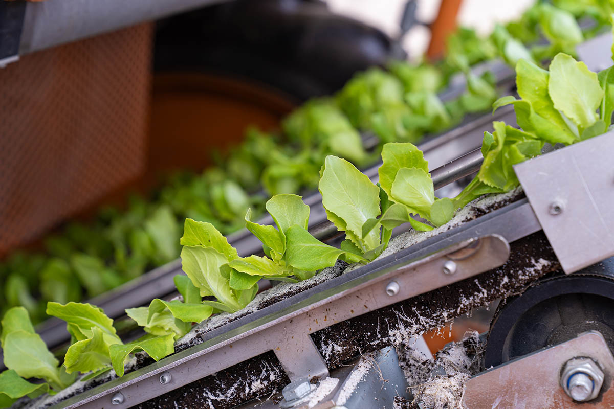 Photo Stoll innovation solutions 3