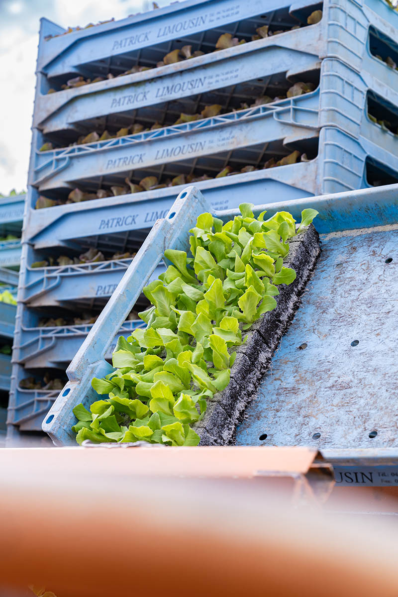 Photo Stoll innovation solutions 4