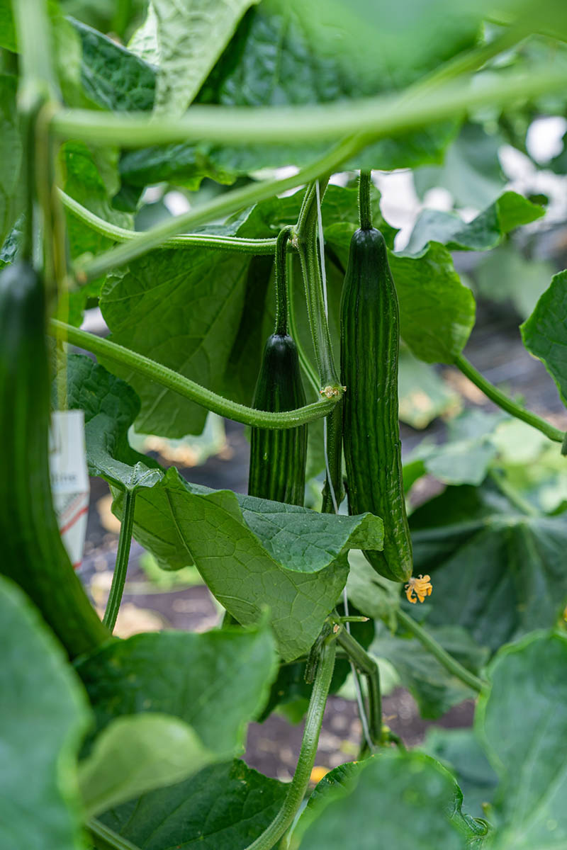 Photo Stoll innovation solutions 6