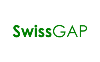 swiss gap