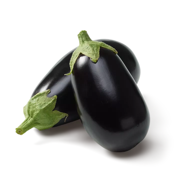 Aubergine