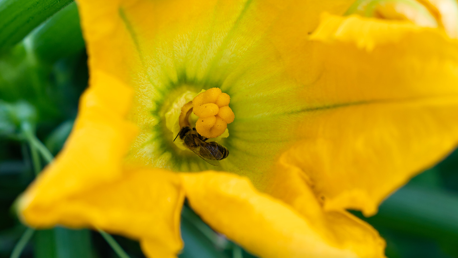 Photo Stoll Ecologie 001