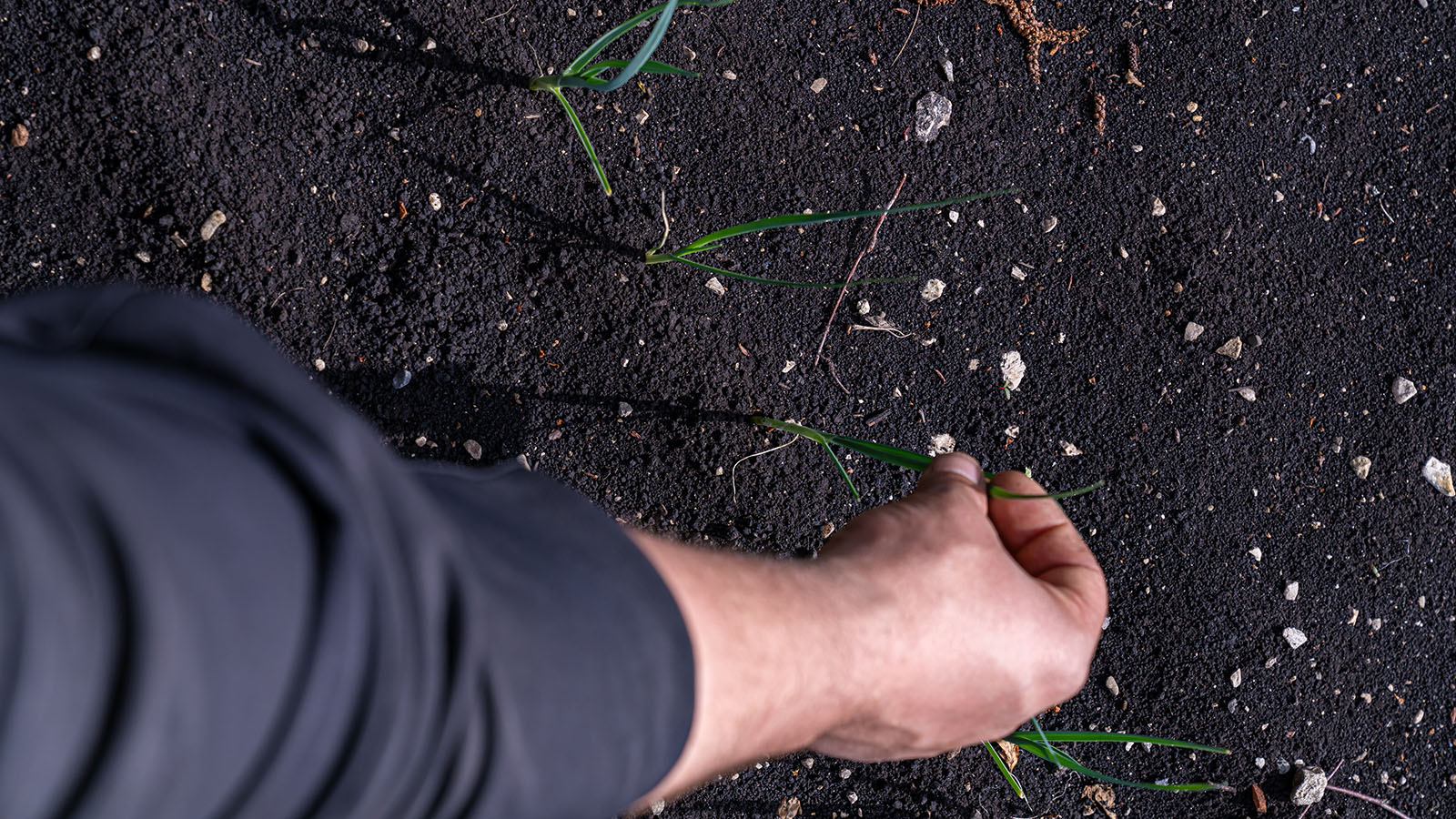 Photo Stoll Ecologie 002