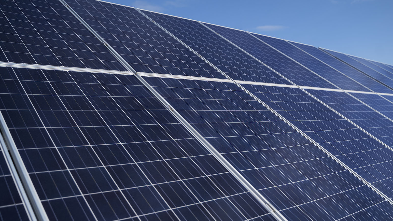 Photo Stoll Ecologie 003